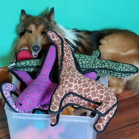 Dogs & Kids - Picture 12 of 16